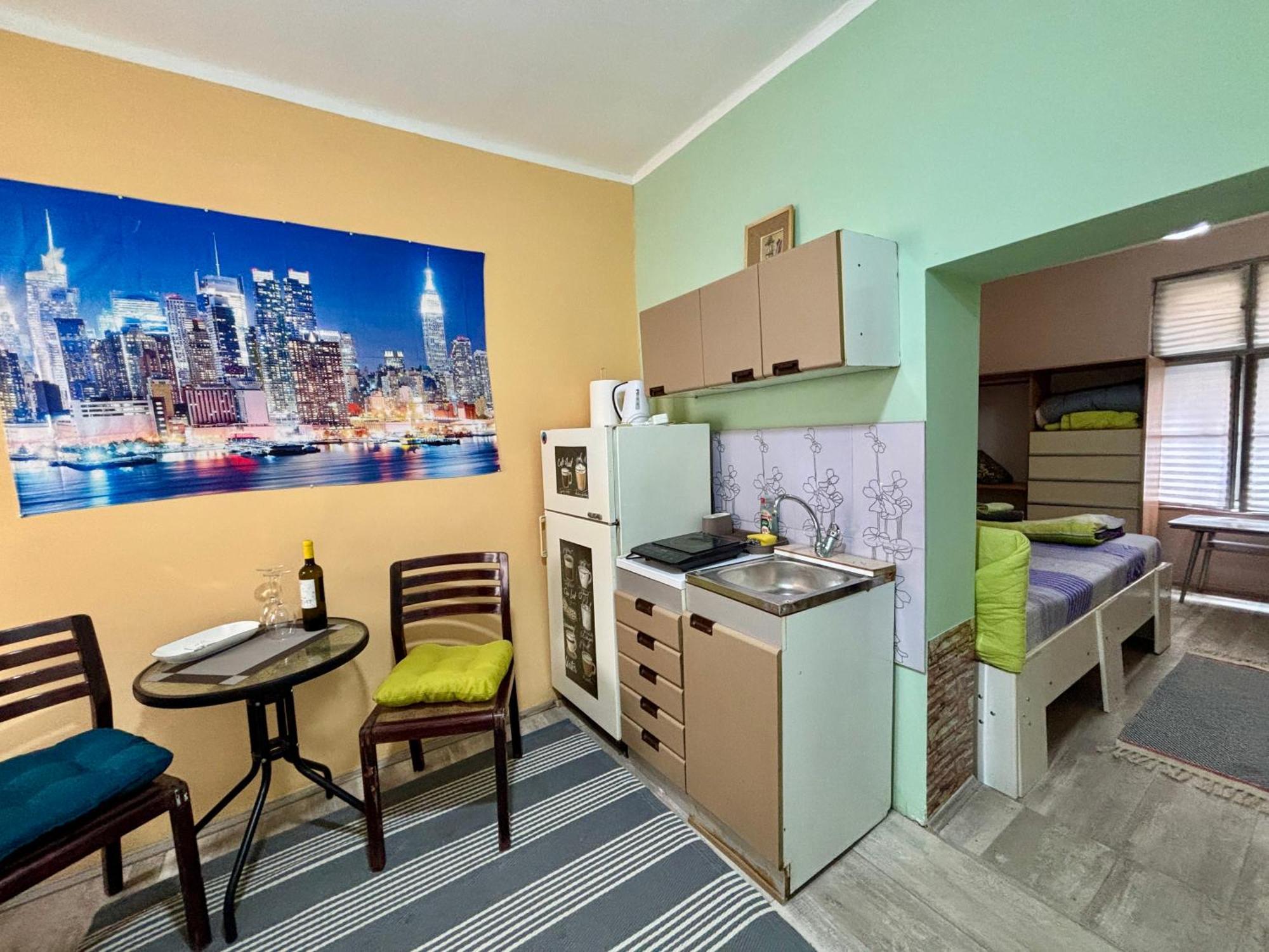 Vracar Affordable Suites - Vracar Povoljni Stanovi Belgrade Exterior photo